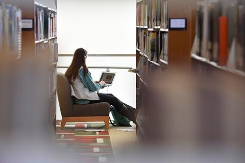 Student studying in the library, surrounded by shelves of books